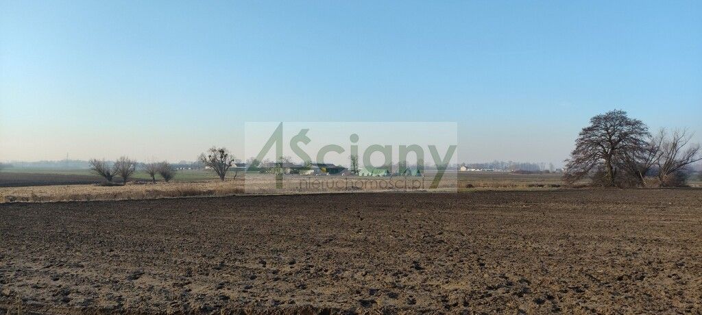 Działka rolno-budowlana Cholewy. Zdjęcie 4