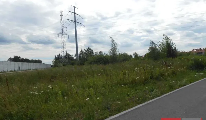 Działka budowlana Reguły, ul. Żytnia