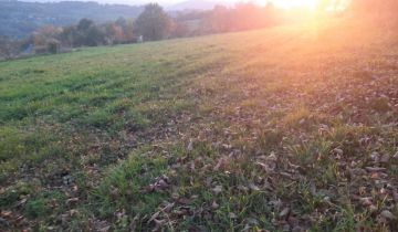 Działka rolno-budowlana Janowice Kopaliny