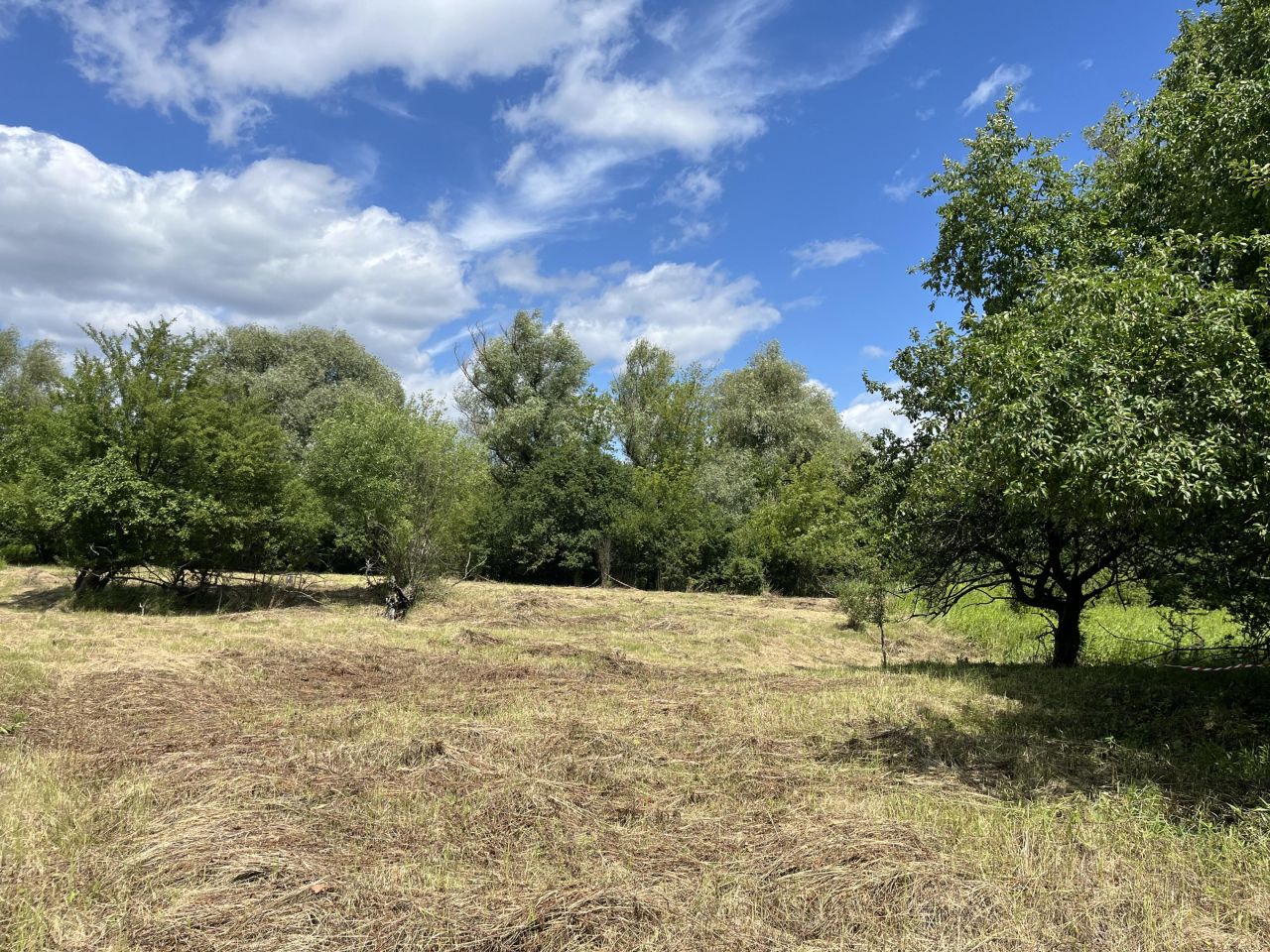 Działka rolna Łomianki Buraków, ul. Pastewna. Zdjęcie 6