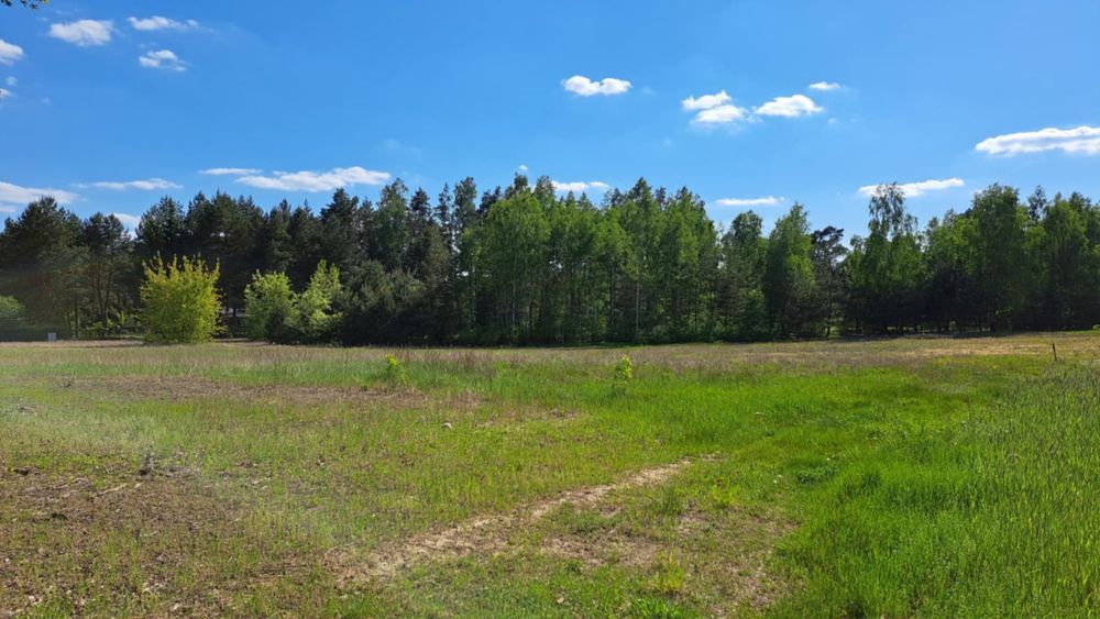 Działka rolna Aleksandria. Zdjęcie 6