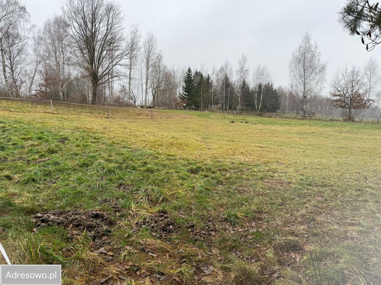 Działka budowlana Bażyny. Zdjęcie 3