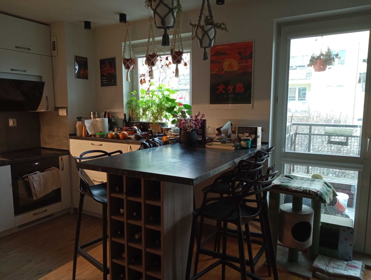 Mieszkanie 2-pokojowe Wrocław Psie Pole. Zdjęcie 3