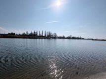 Działka rekreacyjna Lewin Brzeski. Zdjęcie 4