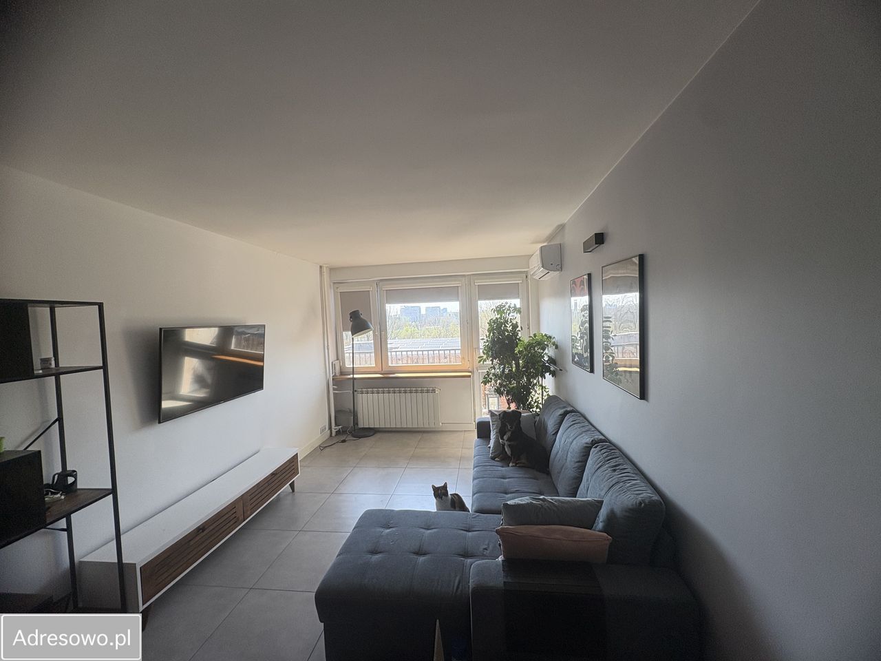 Mieszkanie 2-pokojowe Warszawa Saska Kępa, ul. Zwycięzców. Zdjęcie 1