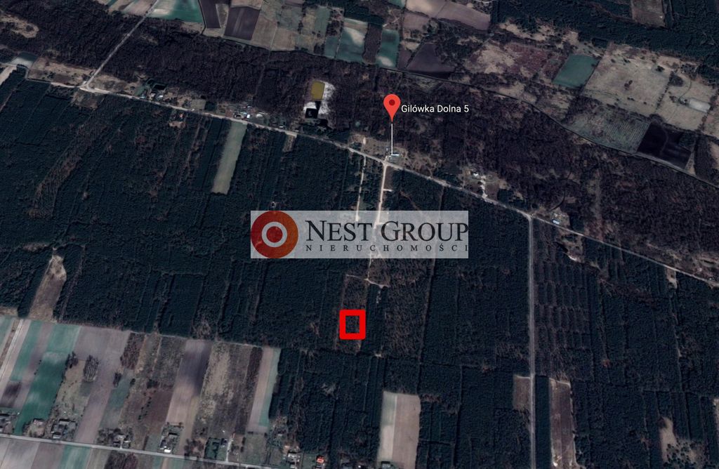 Działka rekreacyjna Gilówka Dolna. Zdjęcie 4