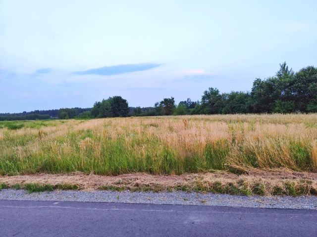 Działka rolna Jamnica. Zdjęcie 1