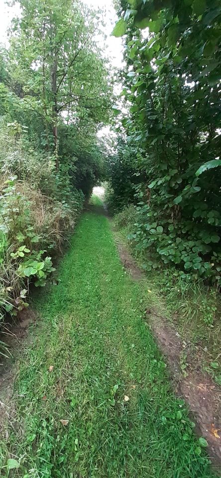 Działka rolna Pewel Wielka. Zdjęcie 8