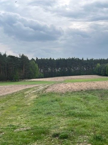 Działka siedliskowa Wierzbinek. Zdjęcie 8