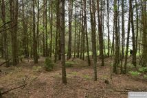 Działka rolna Pstrągi-Gniewoty. Zdjęcie 4