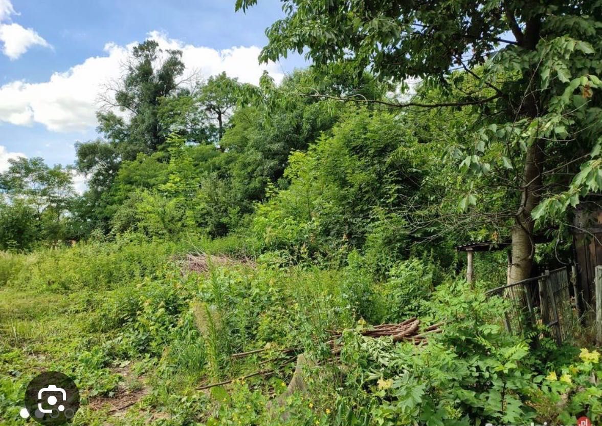 Działka rolno-budowlana Aniołka Pierwsza. Zdjęcie 3