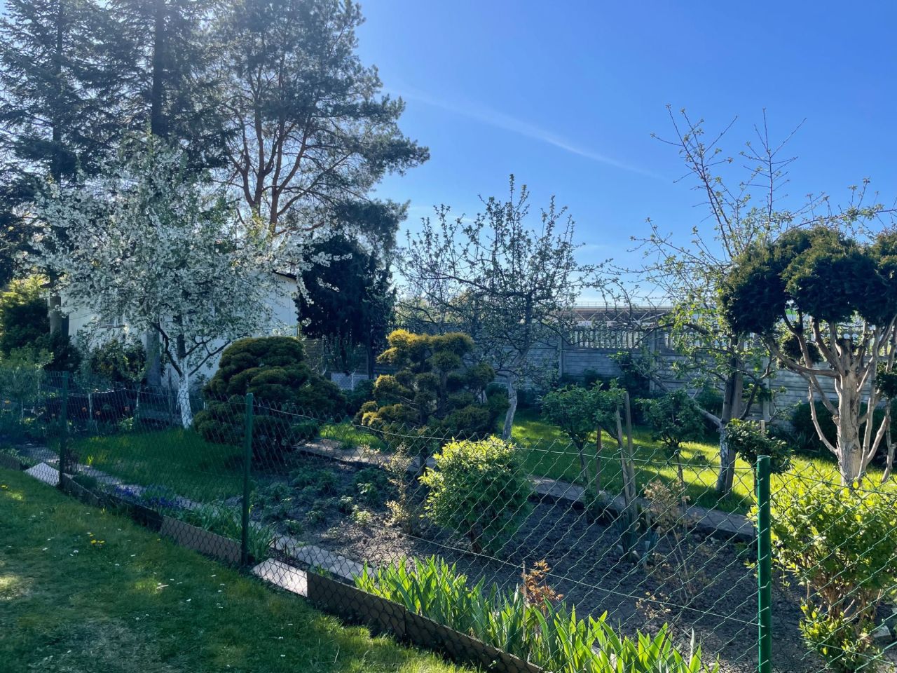 Działka rod Gliwice Śródmieście, ul. Nadrzeczna. Zdjęcie 6