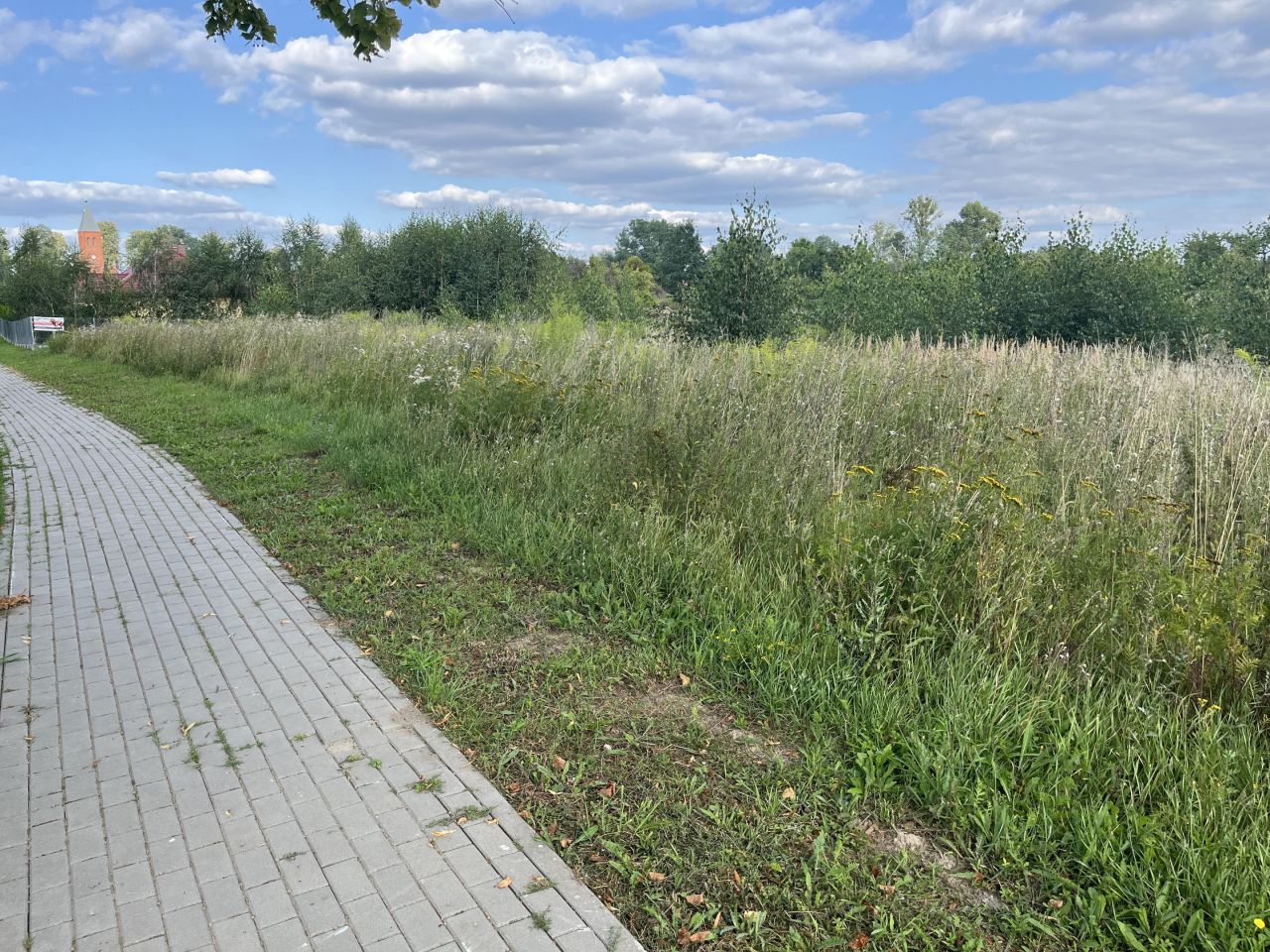 Działka budowlana Pokrzywnica. Zdjęcie 4