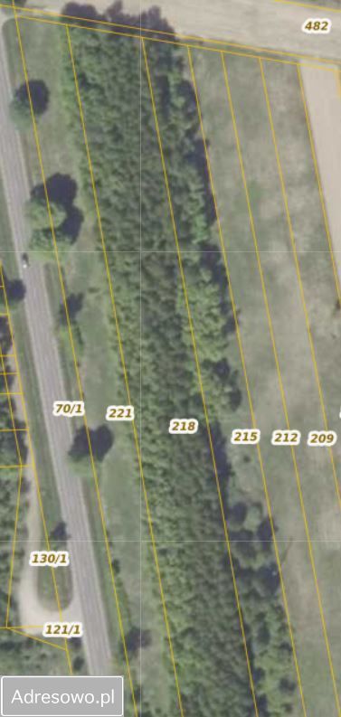 Działka rolna Sokołówka. Zdjęcie 4