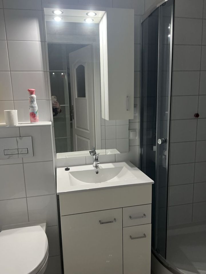 Mieszkanie 3-pokojowe Poznań Stare Miasto, ul. Bukowska. Zdjęcie 4