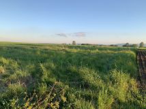 Działka rolno-budowlana Zajączkowice. Zdjęcie 3