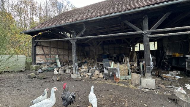 dom wolnostojący, 10 pokoi Czernica. Zdjęcie 13