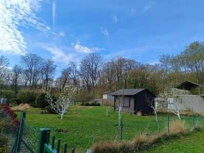 Działka rod Szczecin Bukowo, ul. Golęcińska. Zdjęcie 5