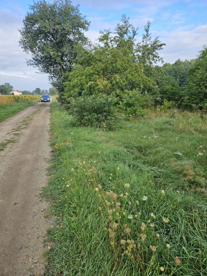 Działka budowlana Zaborów Stary. Zdjęcie 1