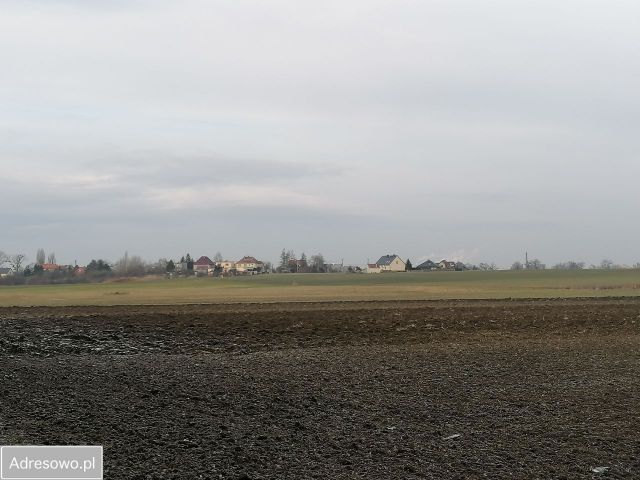 Działka rolna Opole Grudzice. Zdjęcie 1
