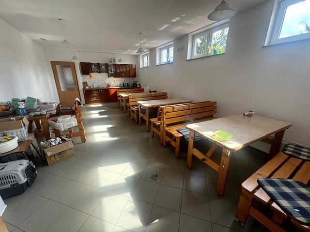 Lokal Orneta, ul. Mickiewicza. Zdjęcie 19