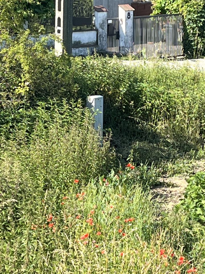 Działka budowlana Bodzanów, os. Osiedle II. Zdjęcie 2