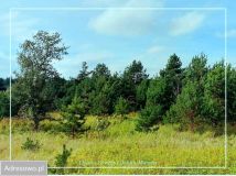 Działka budowlana Krobia, ul. Dolina Drwęcy. Zdjęcie 3