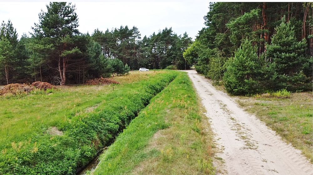 Działka budowlana Dąbrówka. Zdjęcie 4