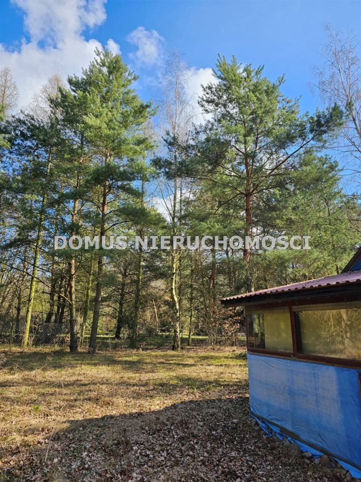 Działka Kościanki. Zdjęcie 7