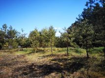 Działka budowlana Czeremcha. Zdjęcie 1