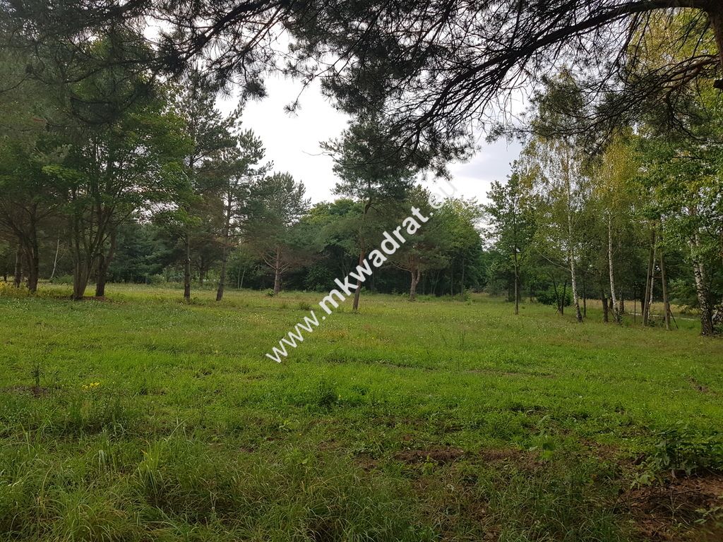 Działka budowlana Radziejowice-Parcel. Zdjęcie 7