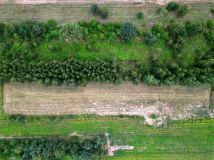 Działka budowlana Skierniewice, ul. Kasztanowa. Zdjęcie 1