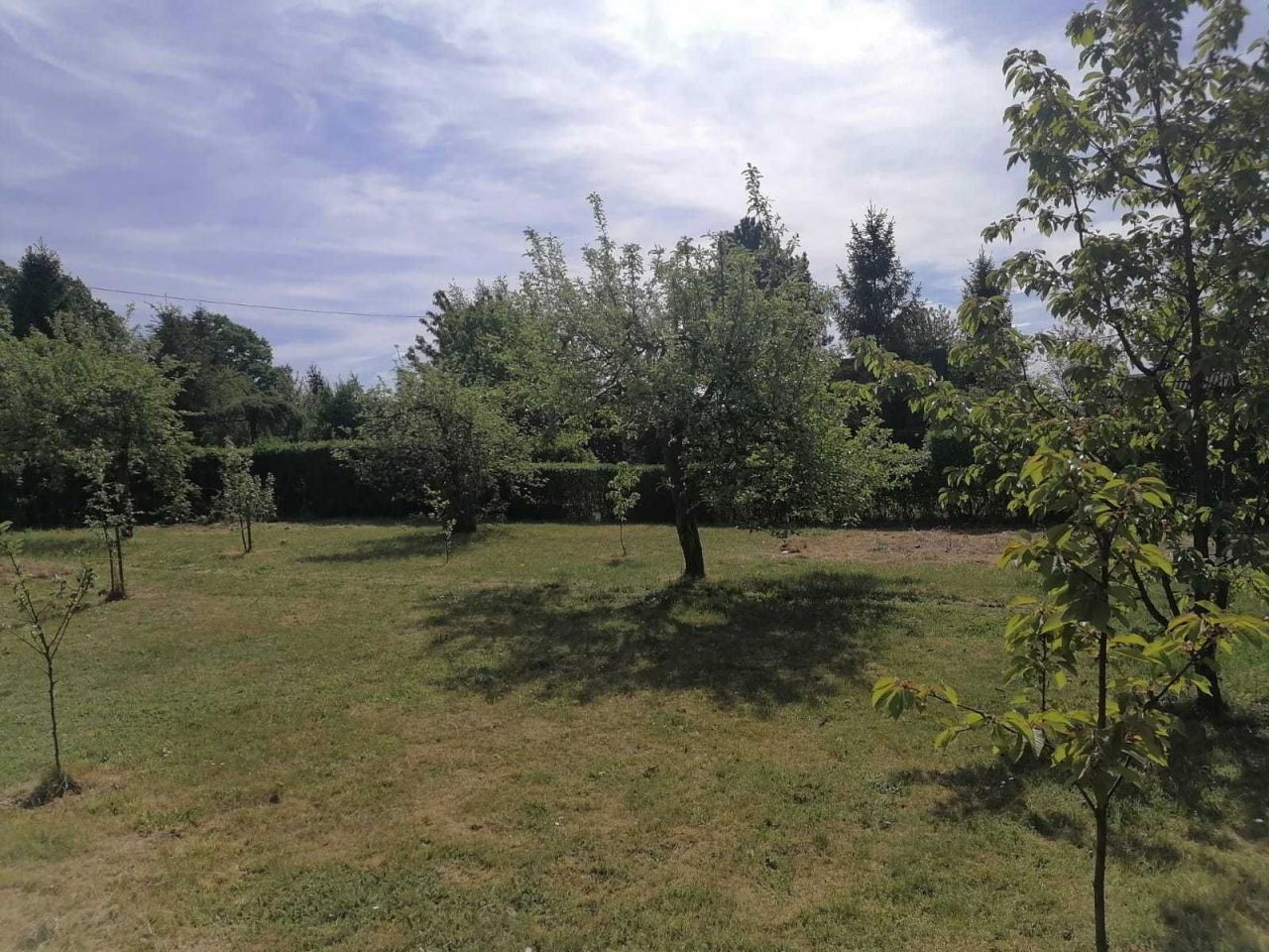Działka rod Racibórz Brzezie. Zdjęcie 3