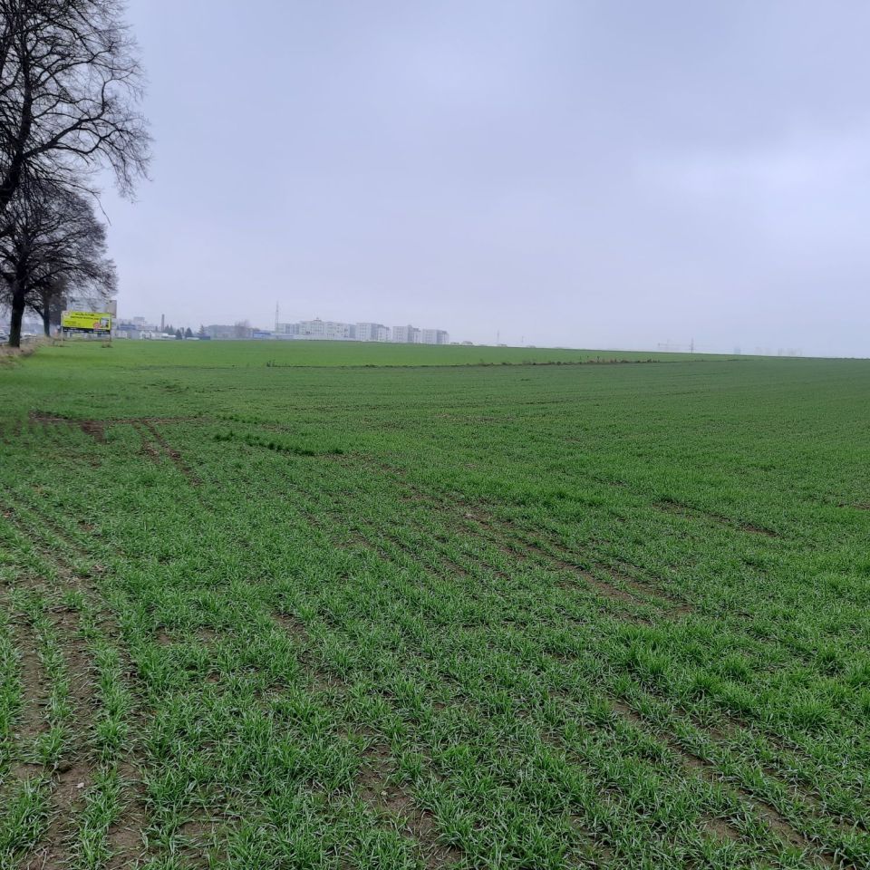 Działka rolno-budowlana Kalisz, ul. Poznańska