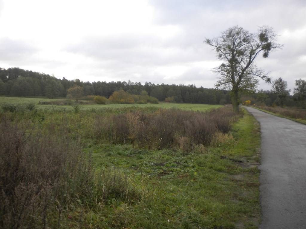 Działka rolno-budowlana Kotuń, ul. Pilska