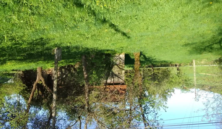 Działka rolno-budowlana Bukowiec