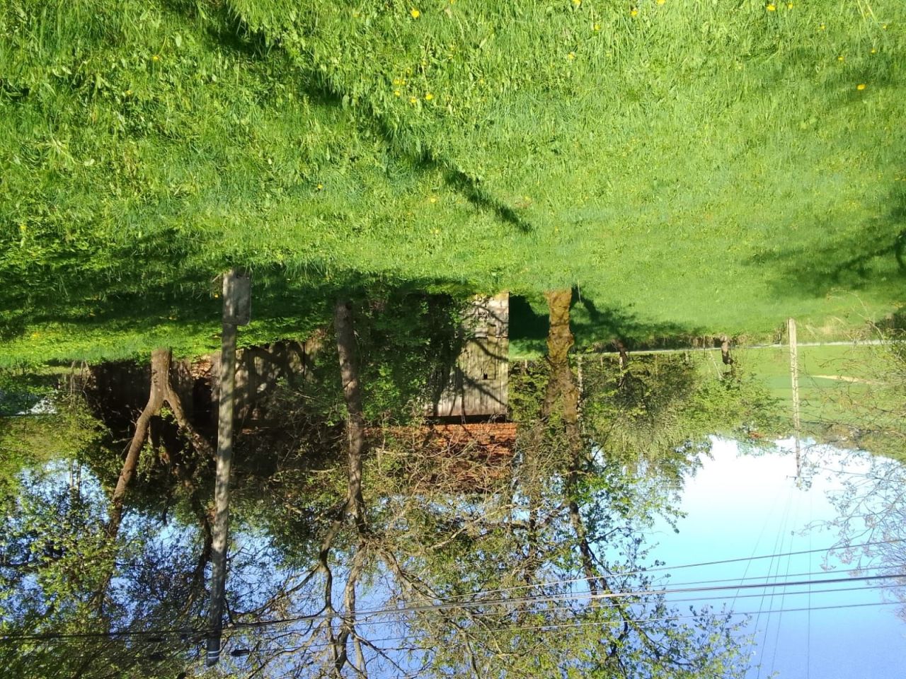 Działka rolno-budowlana Bukowiec. Zdjęcie 1