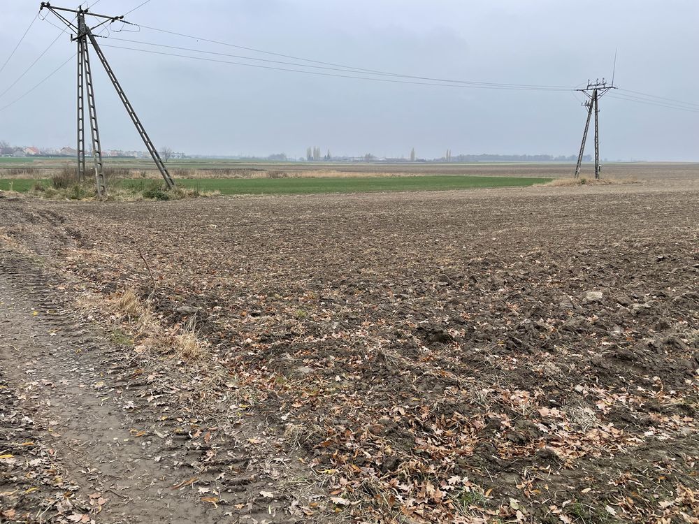 Działka budowlana Budziszów Wielki. Zdjęcie 5