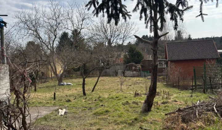 Działka rod Włocławek, ul. Jastrzębia