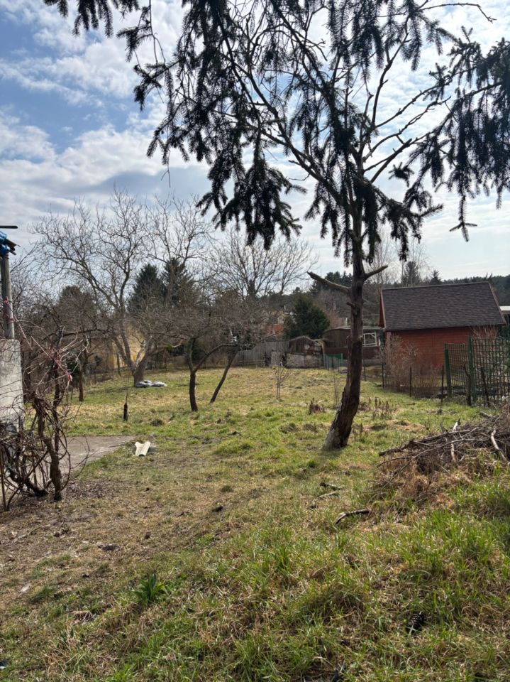 Działka rod Włocławek, ul. Jastrzębia. Zdjęcie 1