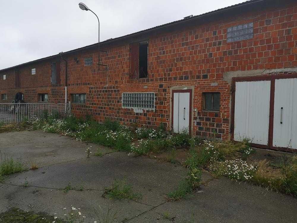 Nieruchomość komercyjna Zimin. Zdjęcie 1