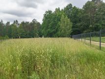Działka rolno-budowlana Damianów. Zdjęcie 2
