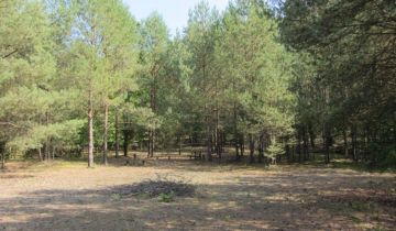 Działka rolna Kluski