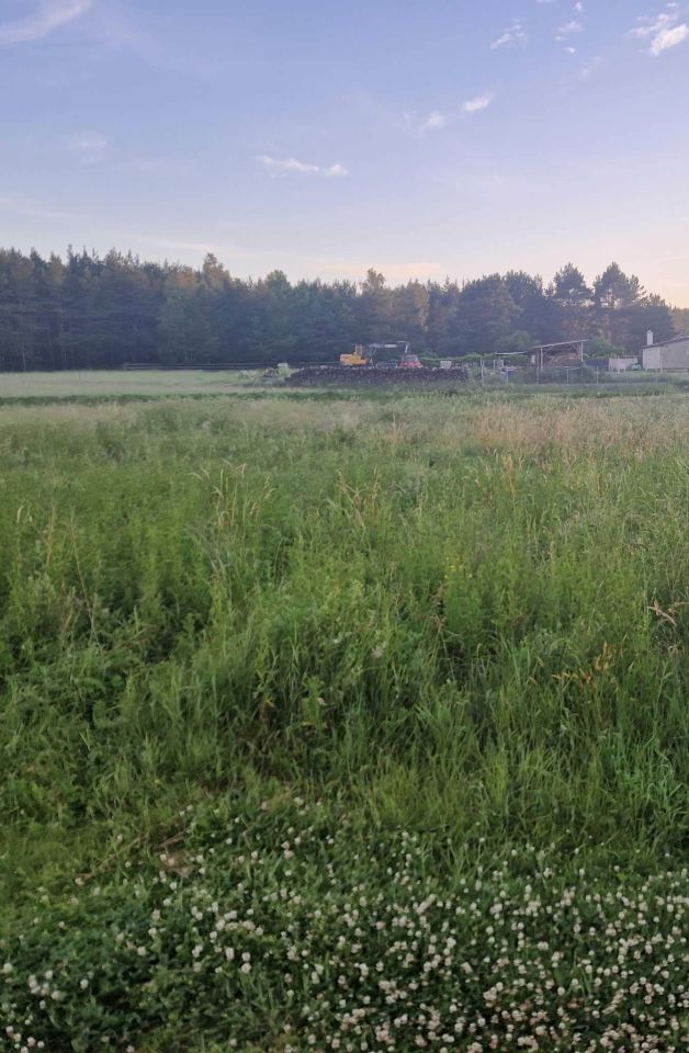 Działka budowlana Drogosław, droga Zielona Polana. Zdjęcie 3