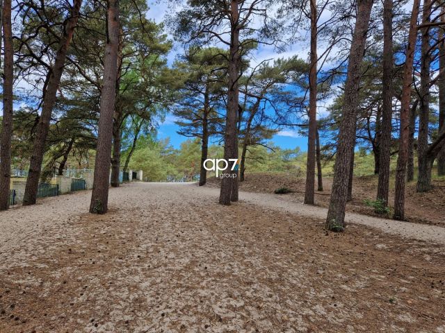 Hotel/pensjonat Dźwirzyno. Zdjęcie 16