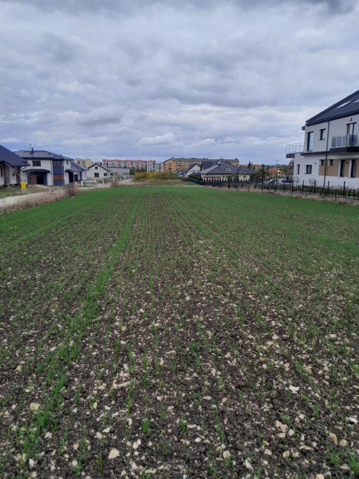 Działka budowlana Włoszczowa Miasto, ul. Działkowa. Zdjęcie 5