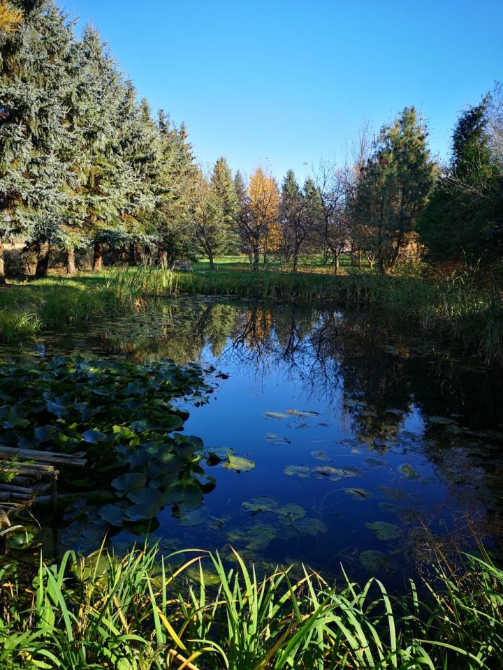 dom wolnostojący, 7 pokoi Kłobuck Zakrzew, ul. Janusza Korczaka. Zdjęcie 6