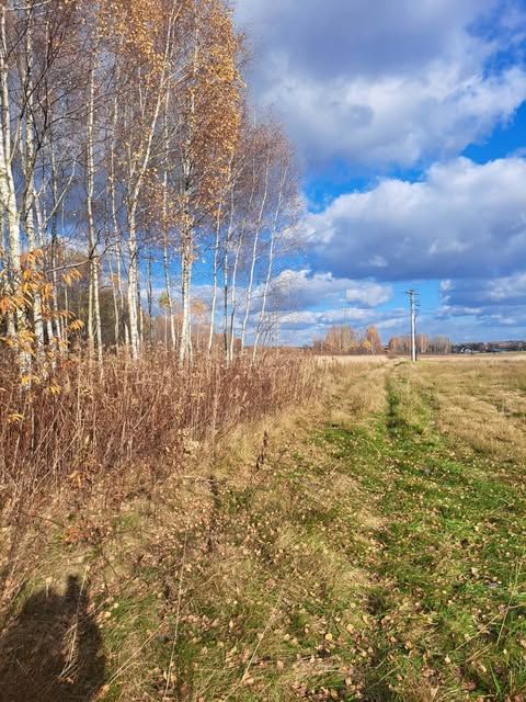 Działka budowlana Kolbuszowa Dolna, ul. Sosnowa. Zdjęcie 4