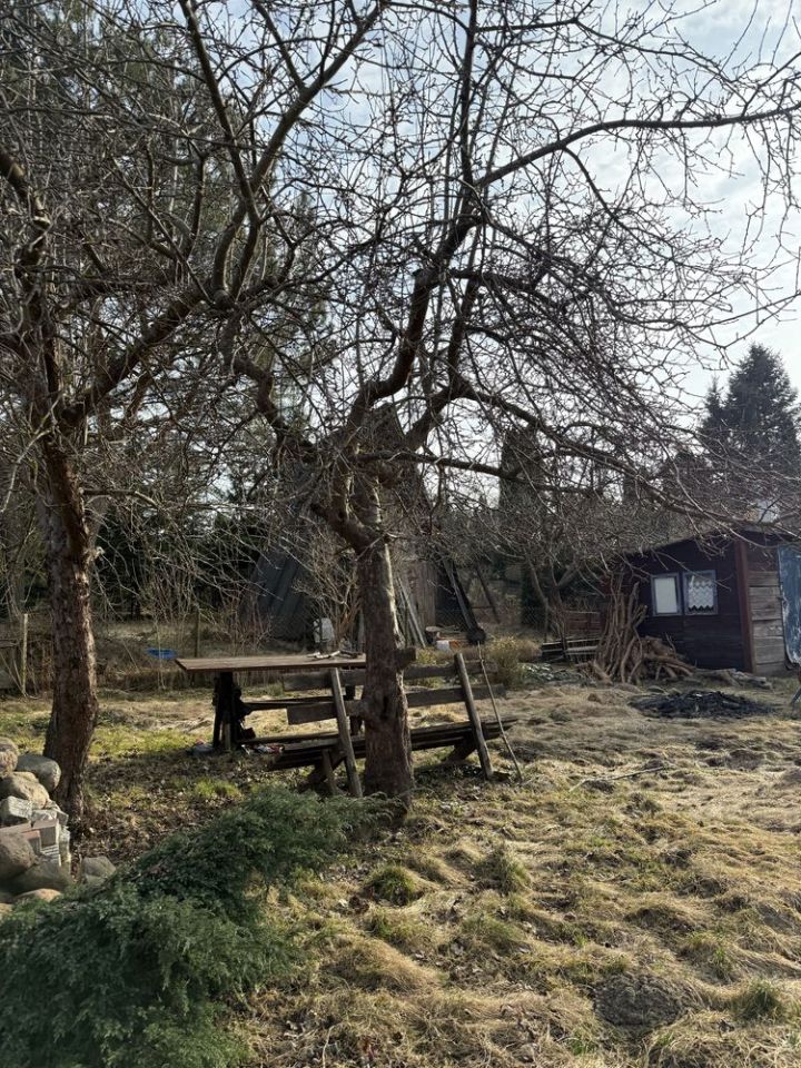 Działka rod Klebark Mały. Zdjęcie 2