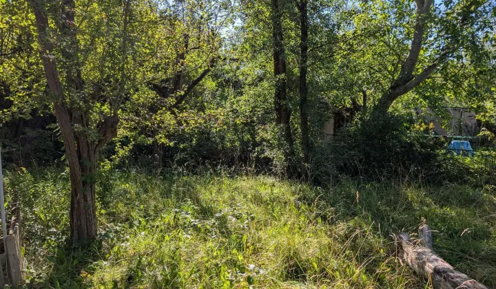 Działka rod Warszawa Mokotów